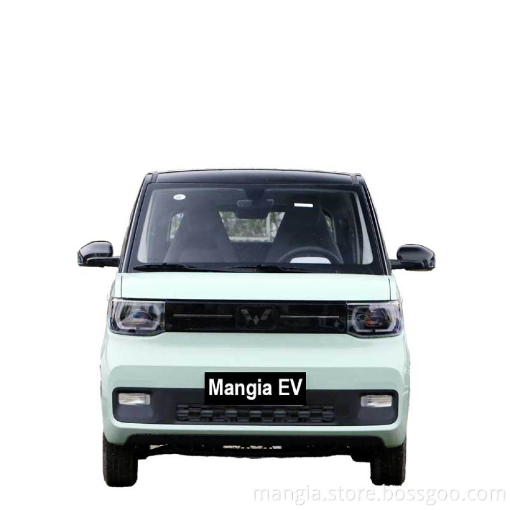 Adult-driven mini electric car will be sold well in 2023 and new wuling mini will be made in China for domestic new energy car